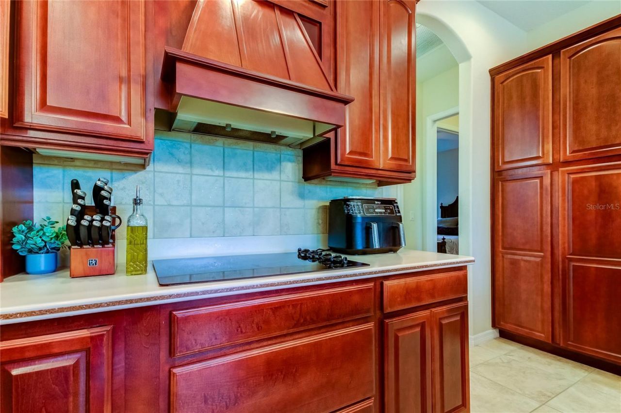 1422 Aristides Court, Odessa, FL 33556 Photo