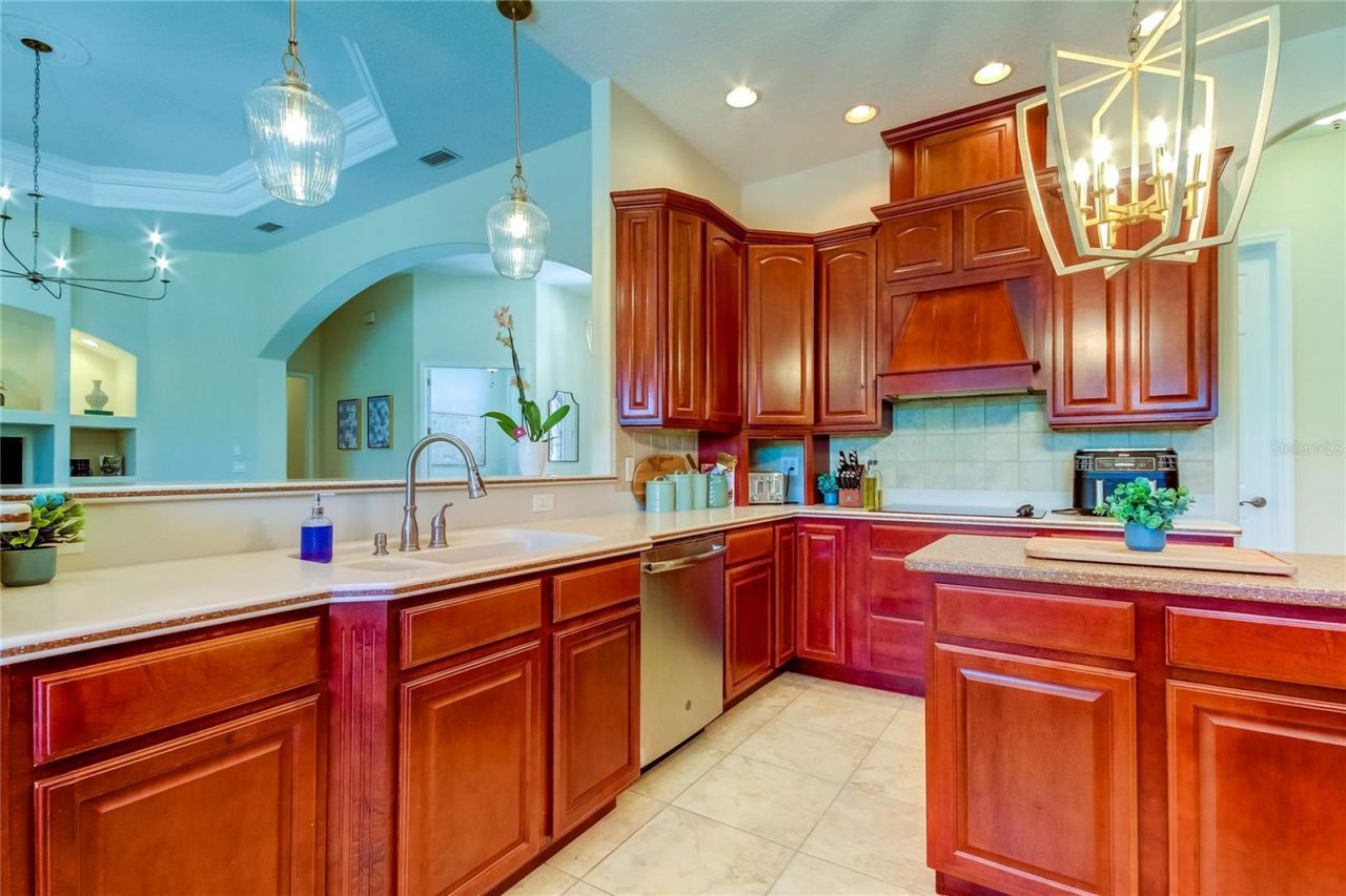 1422 Aristides Court, Odessa, FL 33556 Photo