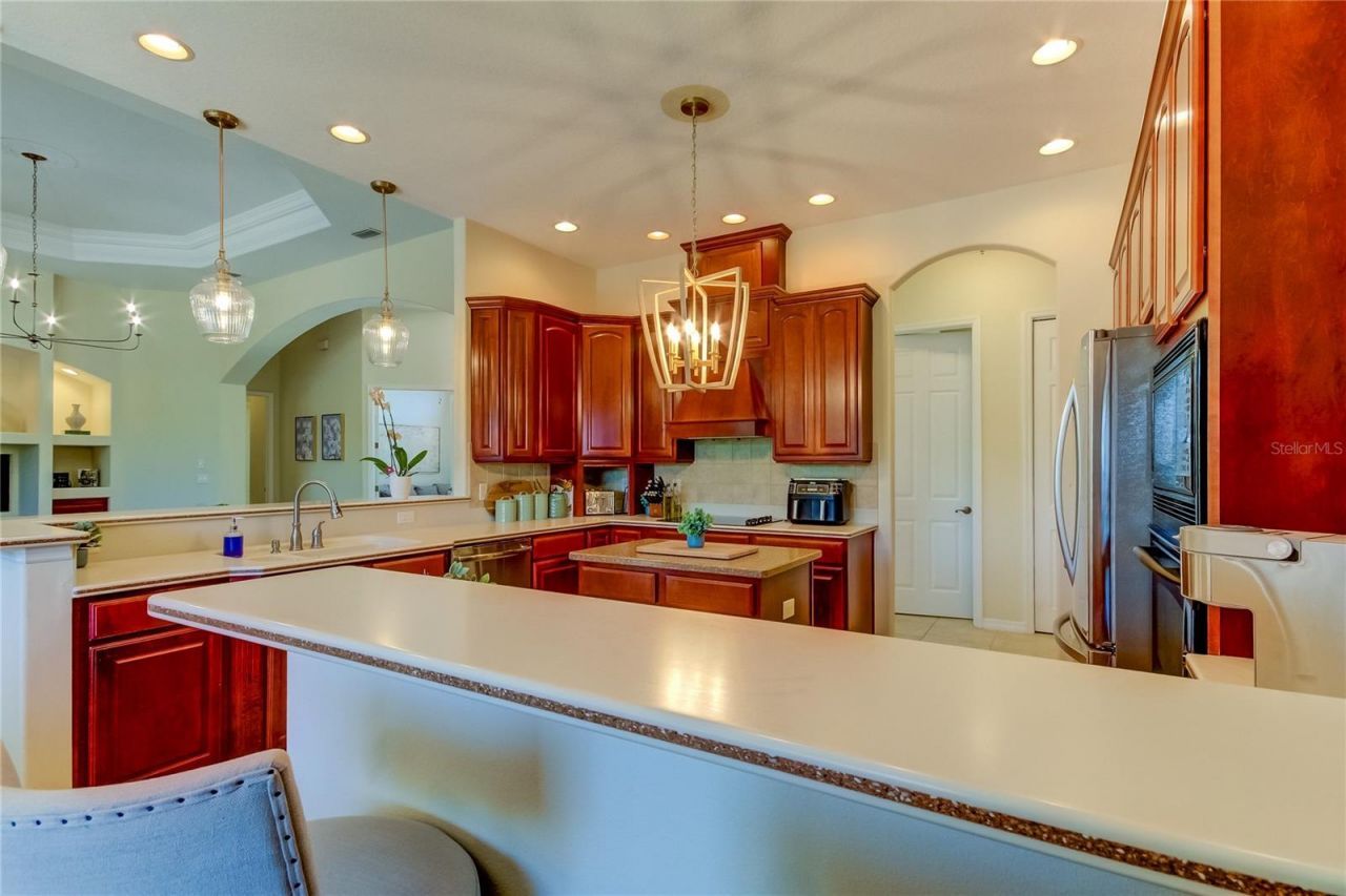 1422 Aristides Court, Odessa, FL 33556 Photo