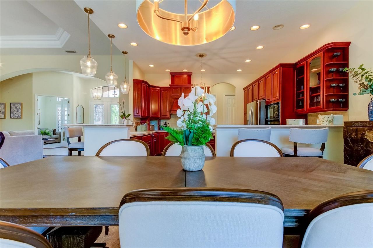 1422 Aristides Court, Odessa, FL 33556 Photo