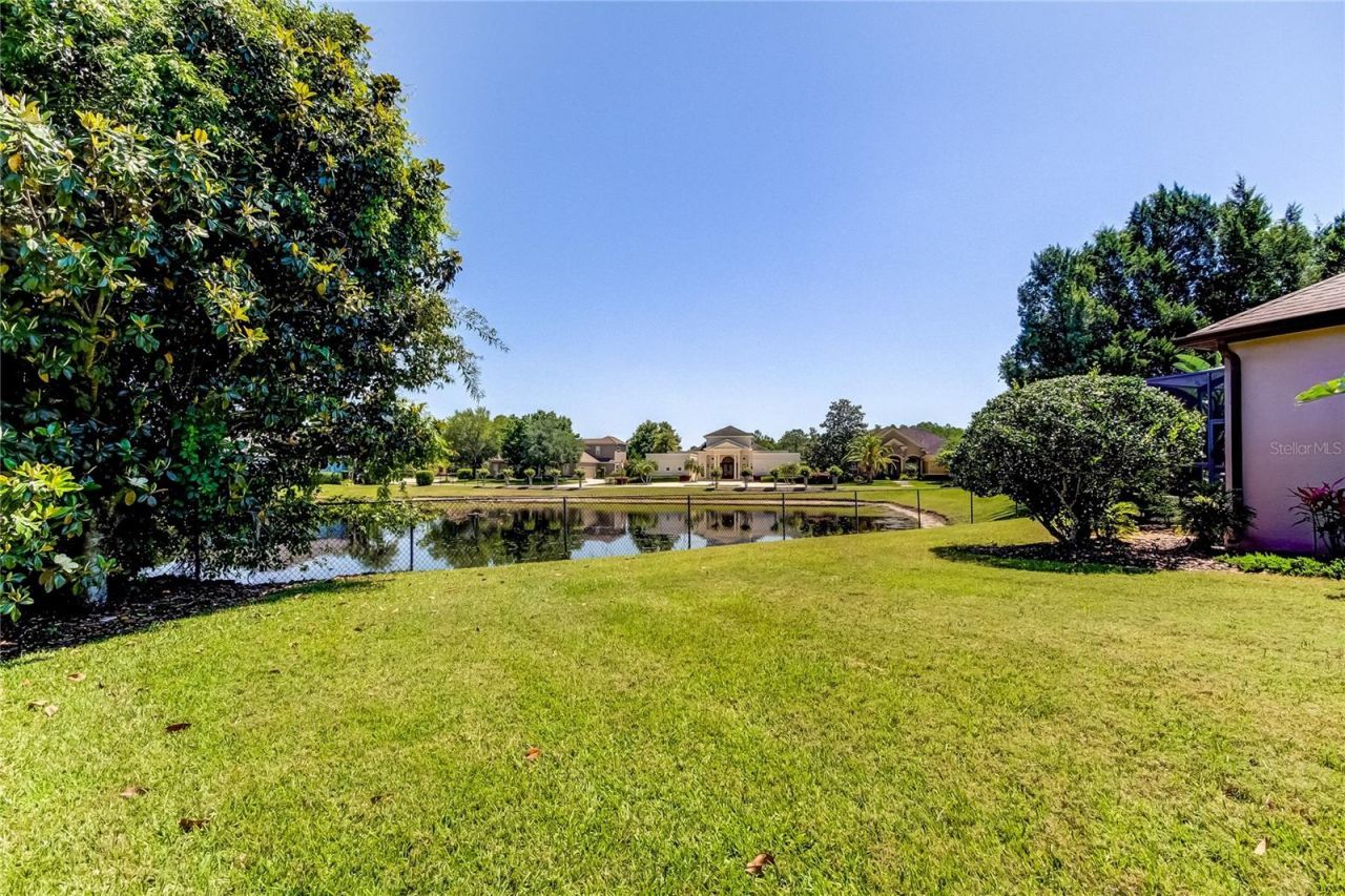 1422 Aristides Court, Odessa, FL 33556 Photo