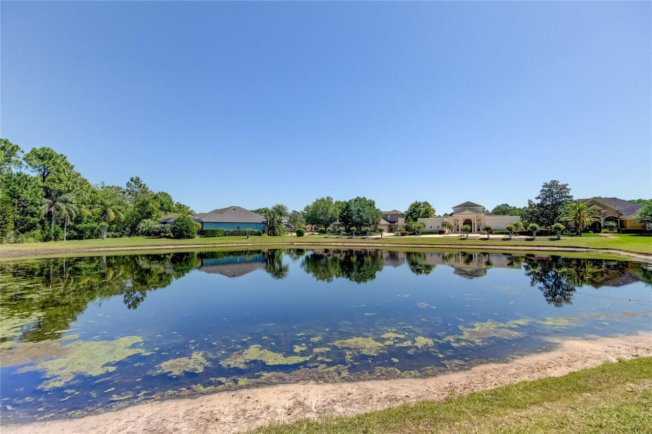 1422 Aristides Court, Odessa, FL 33556 Photo