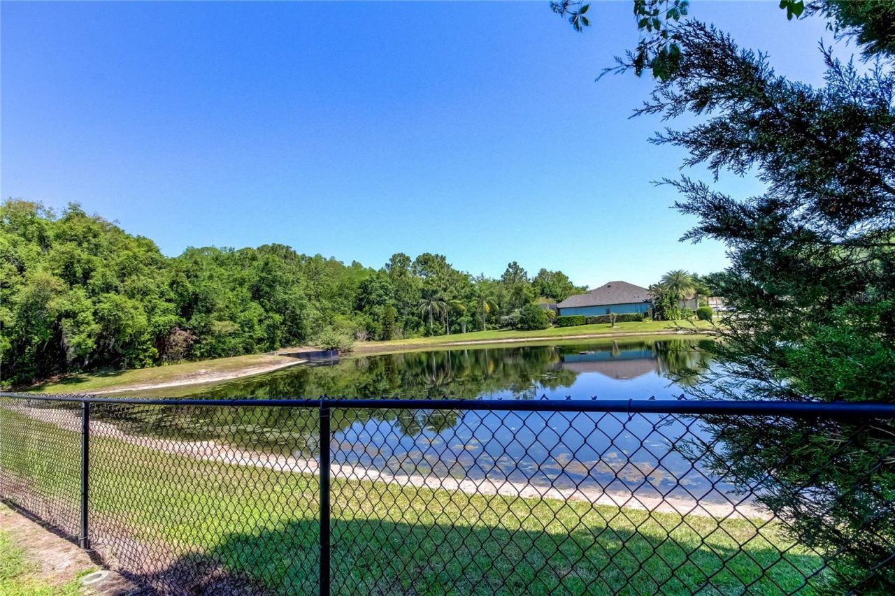 1422 Aristides Court, Odessa, FL 33556 Photo
