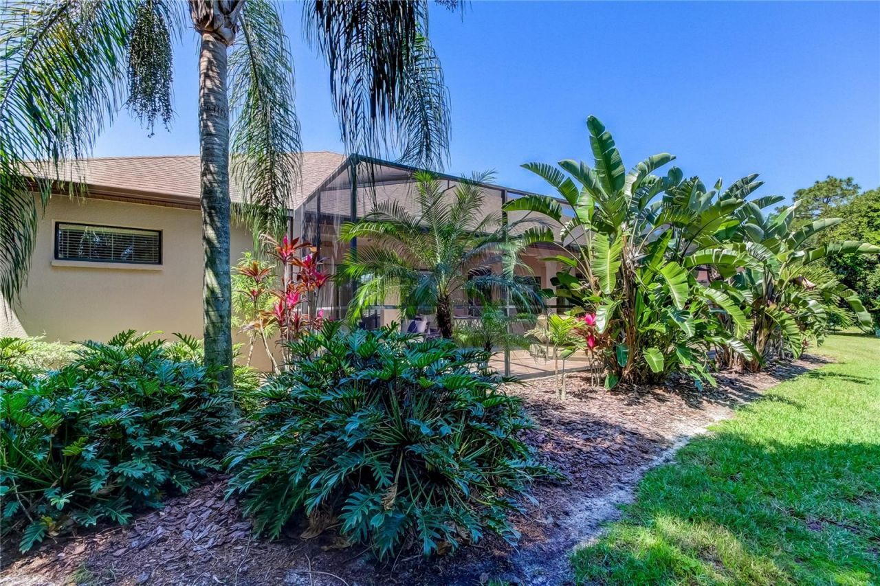 1422 Aristides Court, Odessa, FL 33556 Photo