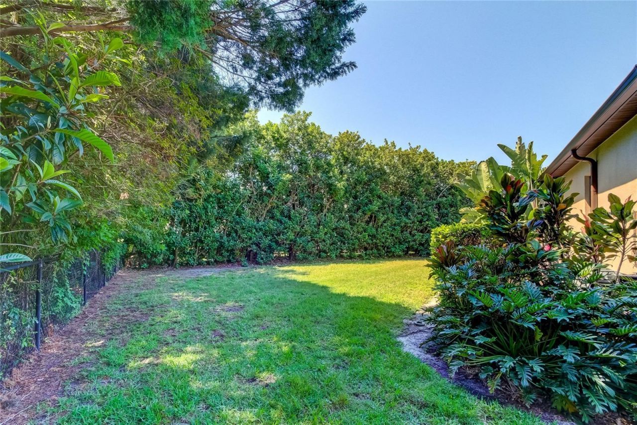 1422 Aristides Court, Odessa, FL 33556 Photo