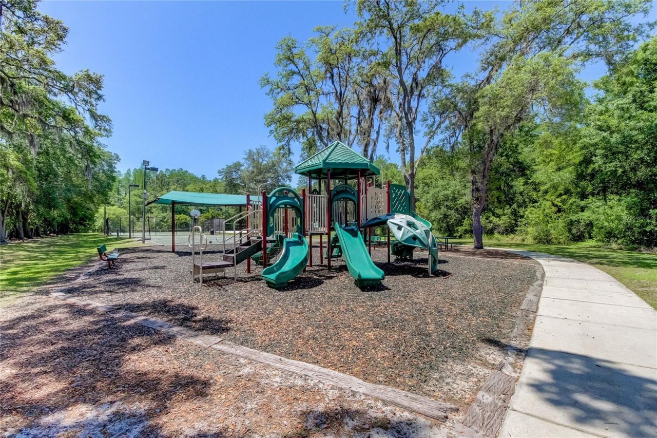 1422 Aristides Court, Odessa, FL 33556 Photo