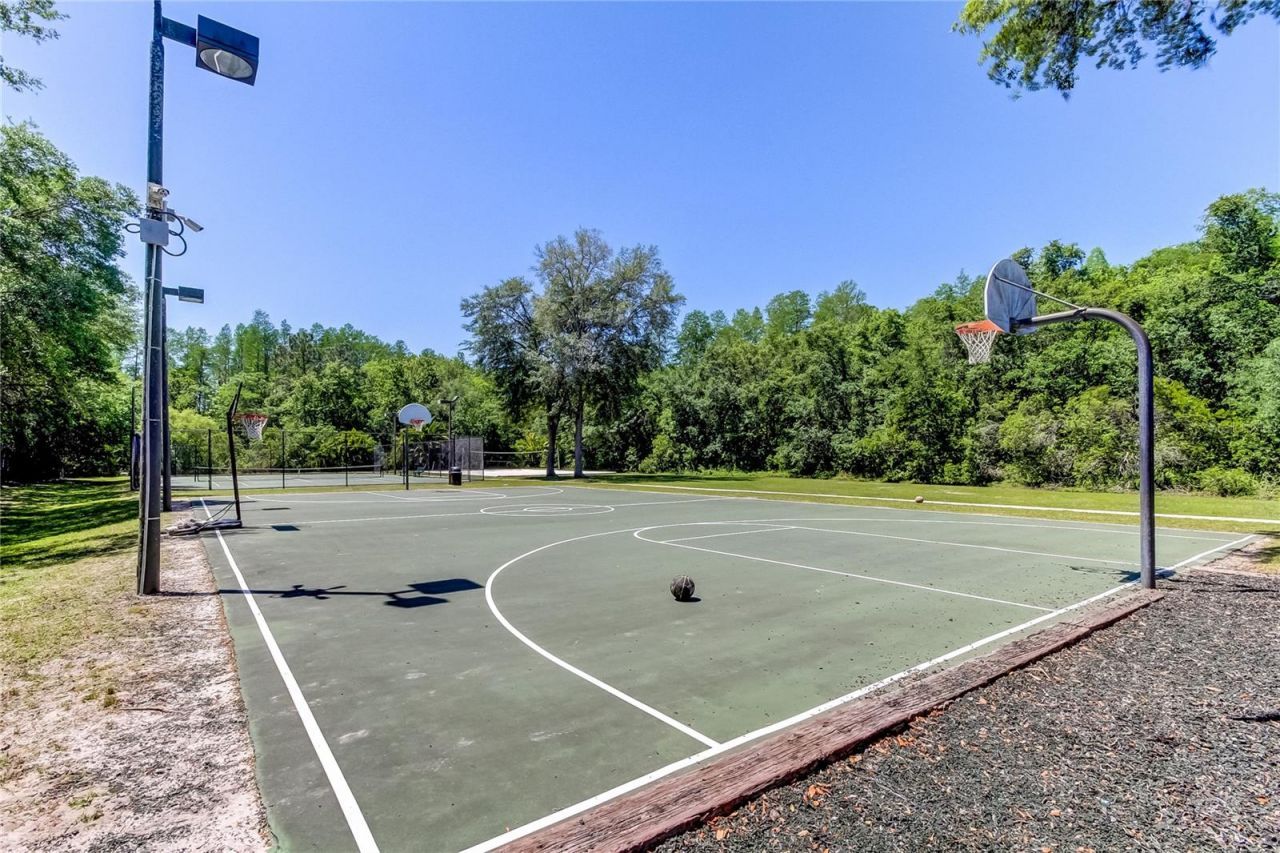 1422 Aristides Court, Odessa, FL 33556 Photo
