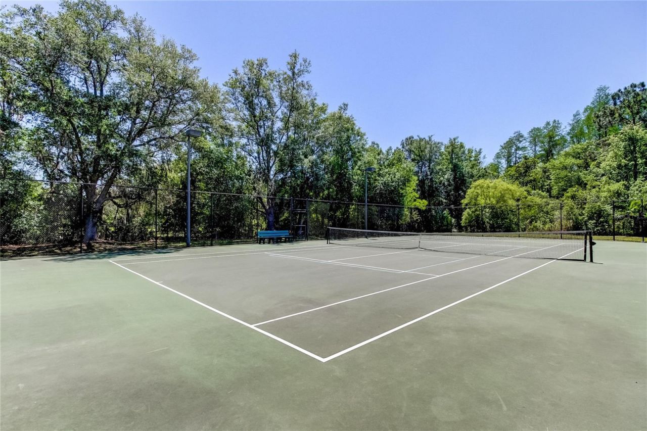 1422 Aristides Court, Odessa, FL 33556 Photo