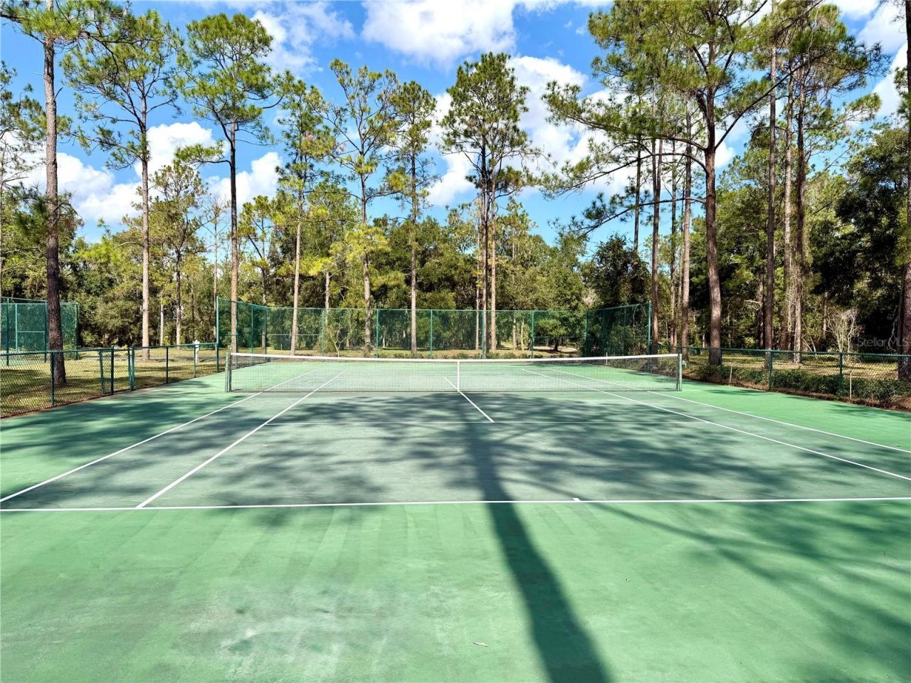 Bonsmara Drive , Groveland, FL 34736 Photo