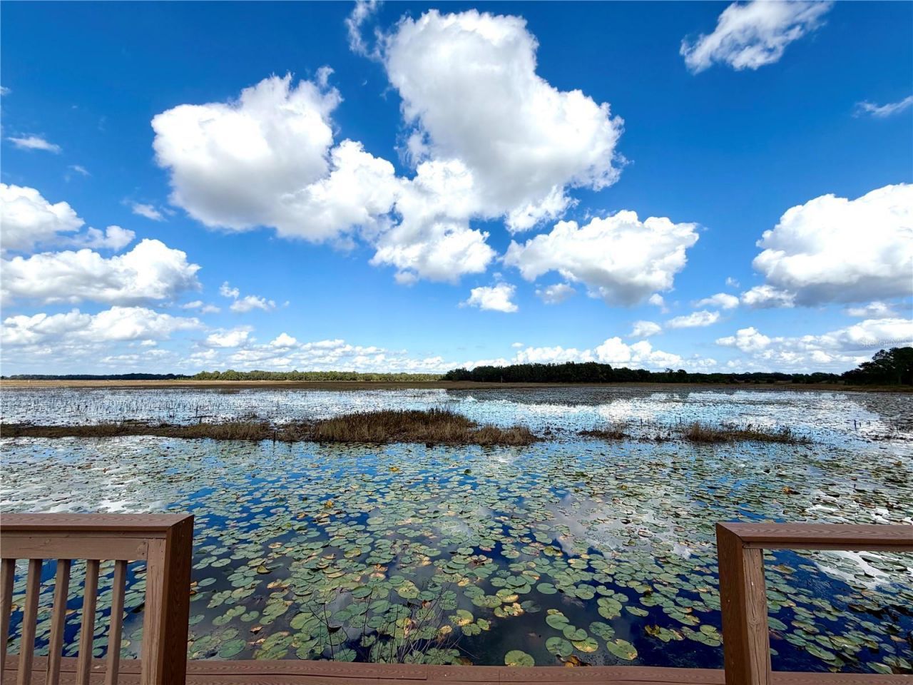 Bonsmara Drive , Groveland, FL 34736 Photo