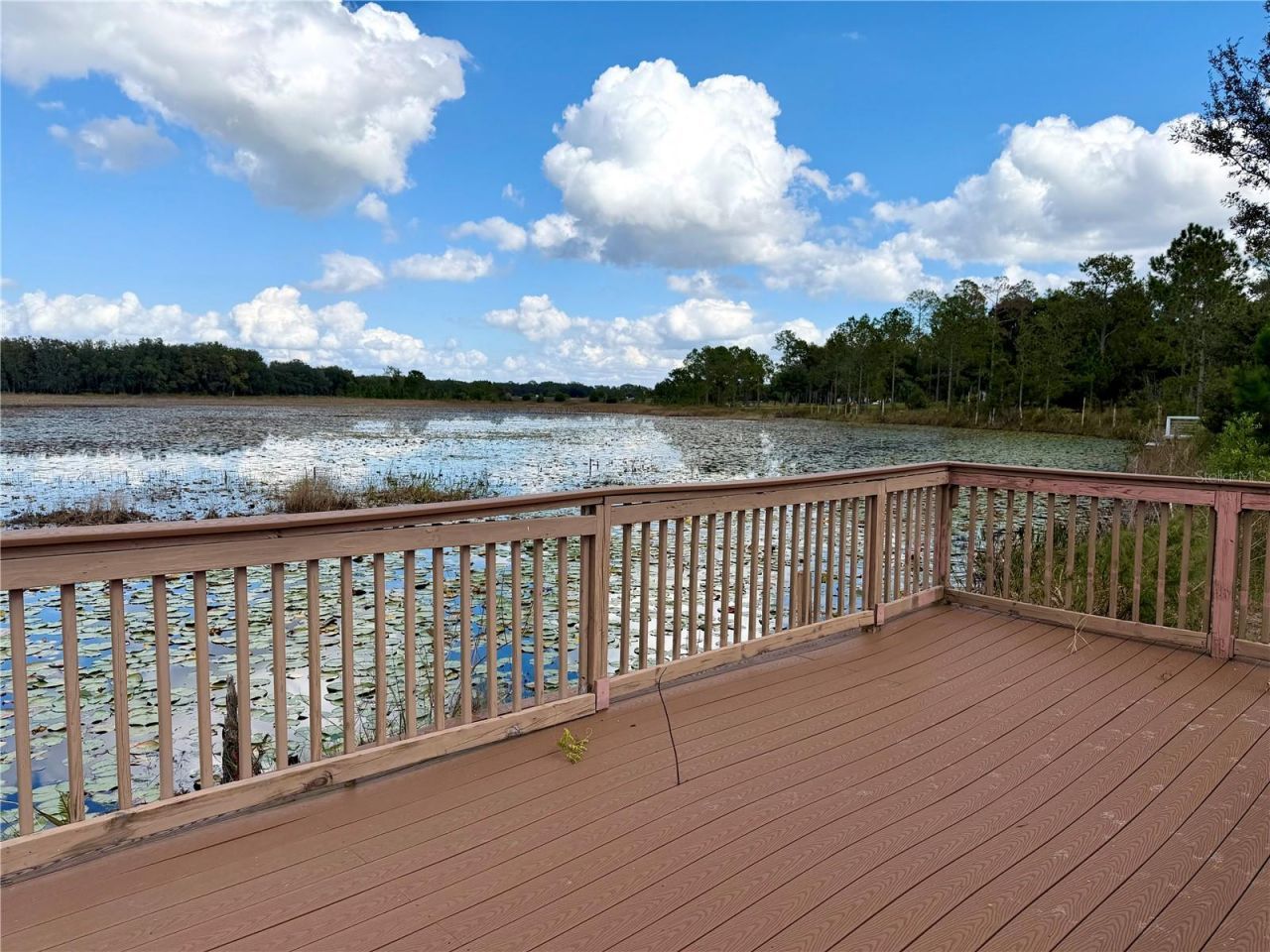 Bonsmara Drive , Groveland, FL 34736 Photo