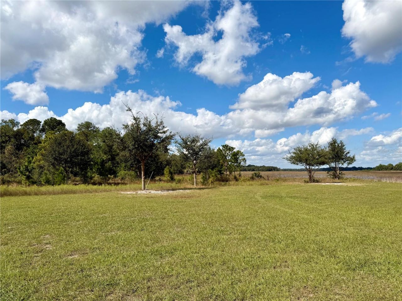 Bonsmara Drive , Groveland, FL 34736 Photo