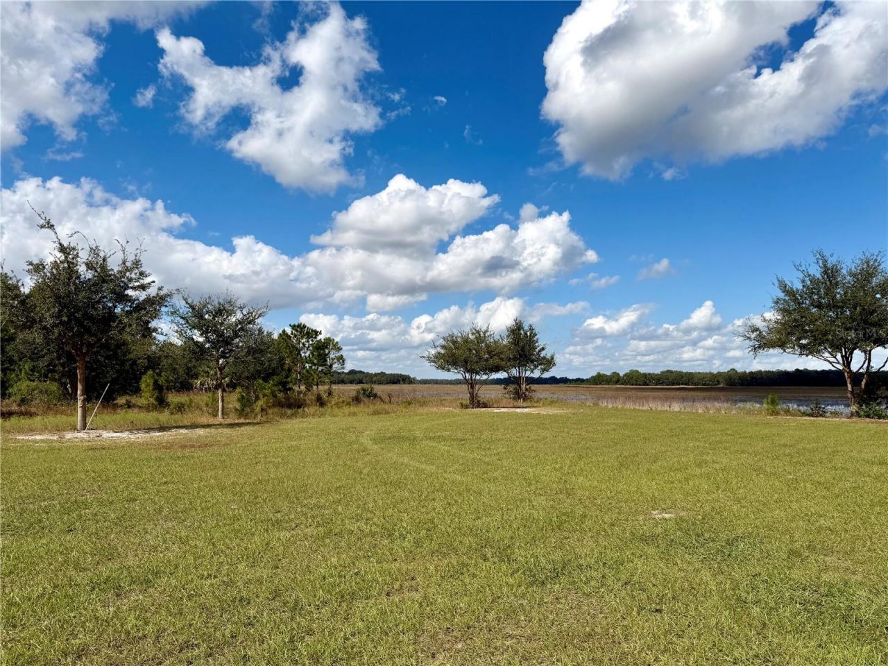 Bonsmara Drive , Groveland, FL 34736 Photo