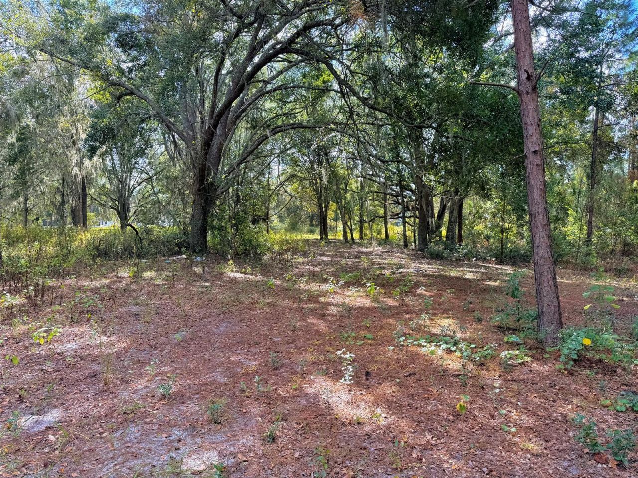 Bonsmara Drive , Groveland, FL 34736 Photo