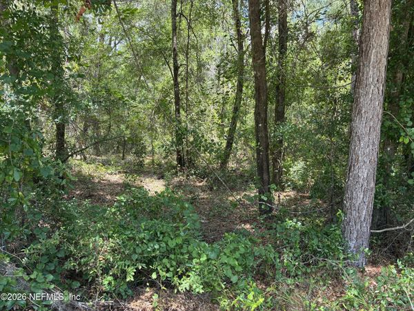 218 BEECHER SPRINGS Road, Pomona Park, FL 32181