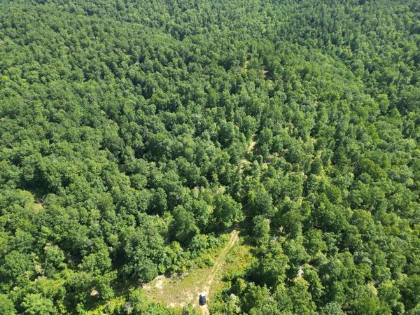 0 Black Bear Trail Rd , Linden, TN 37096