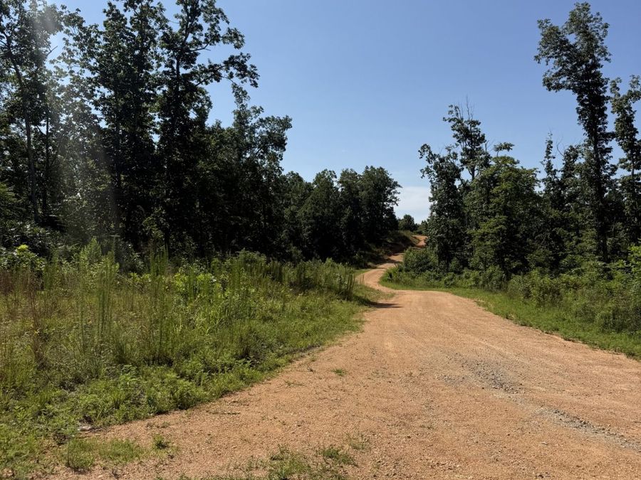 Property Image 18