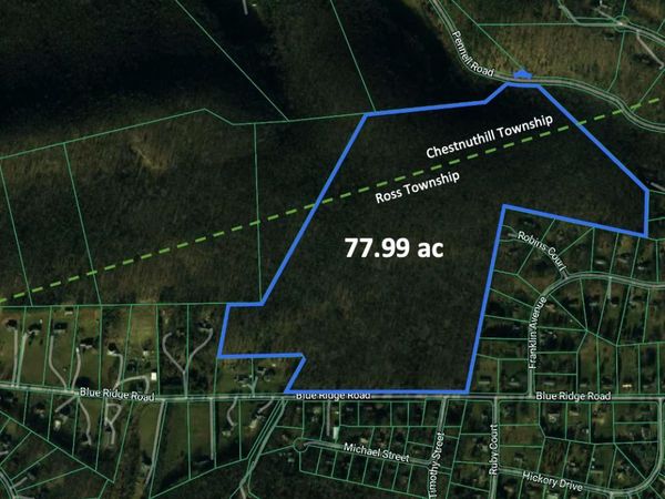 BLUE RIDGE ROAD , SAYLORSBURG, PA 18353