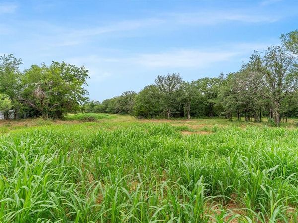 709 County Road 3355 , Paradise, TX 76023