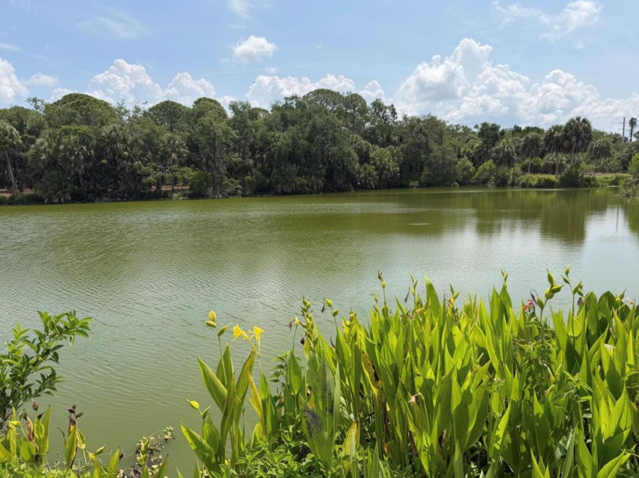 4842 Nutmeg Avenue, Sarasota, FL 34231 Photo