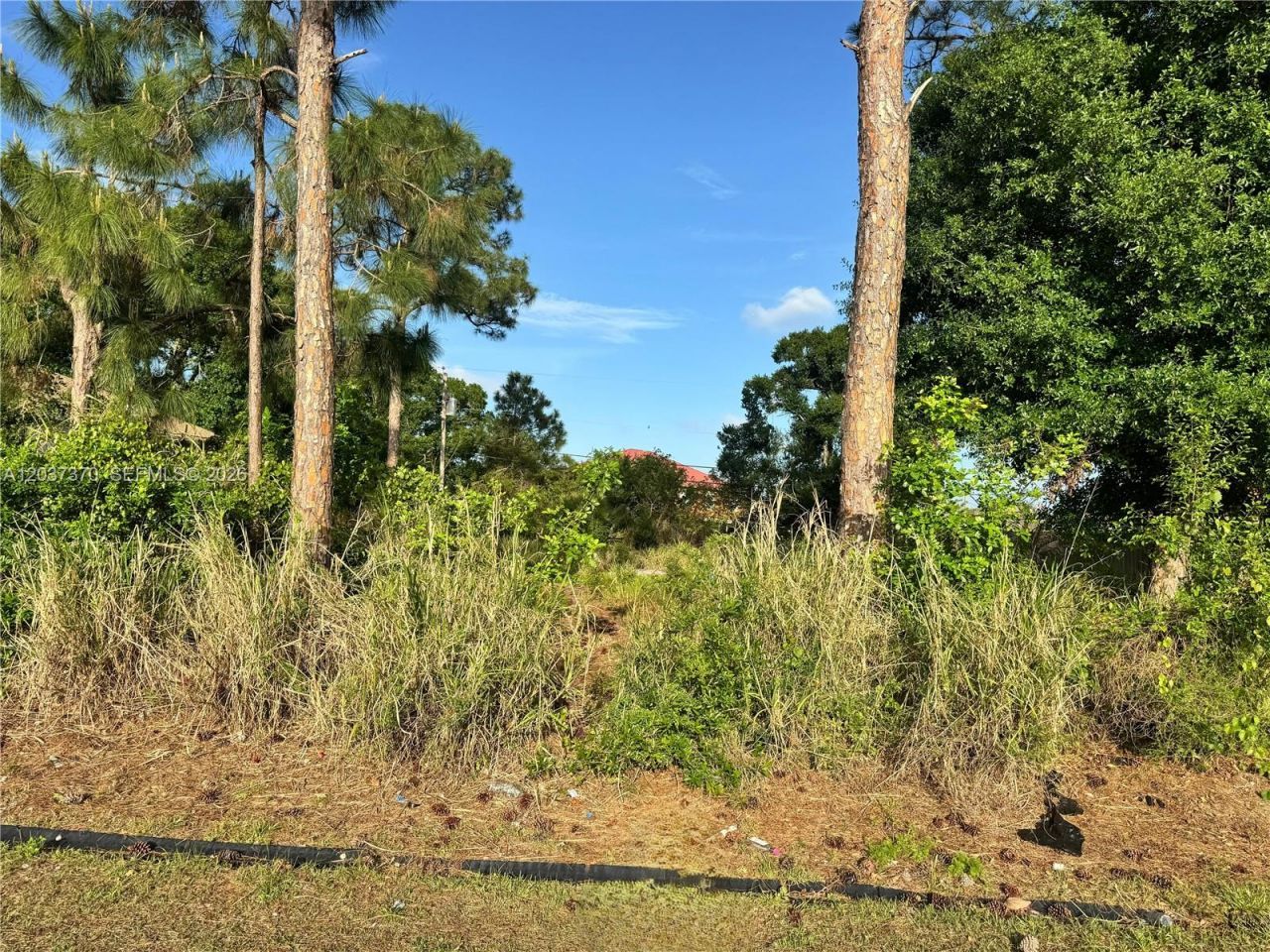 4149 SW Bamberg St , Port Saint Lucie, FL 34953 Photo