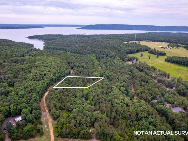 00 Brimer Lane , Higden, AR 72067