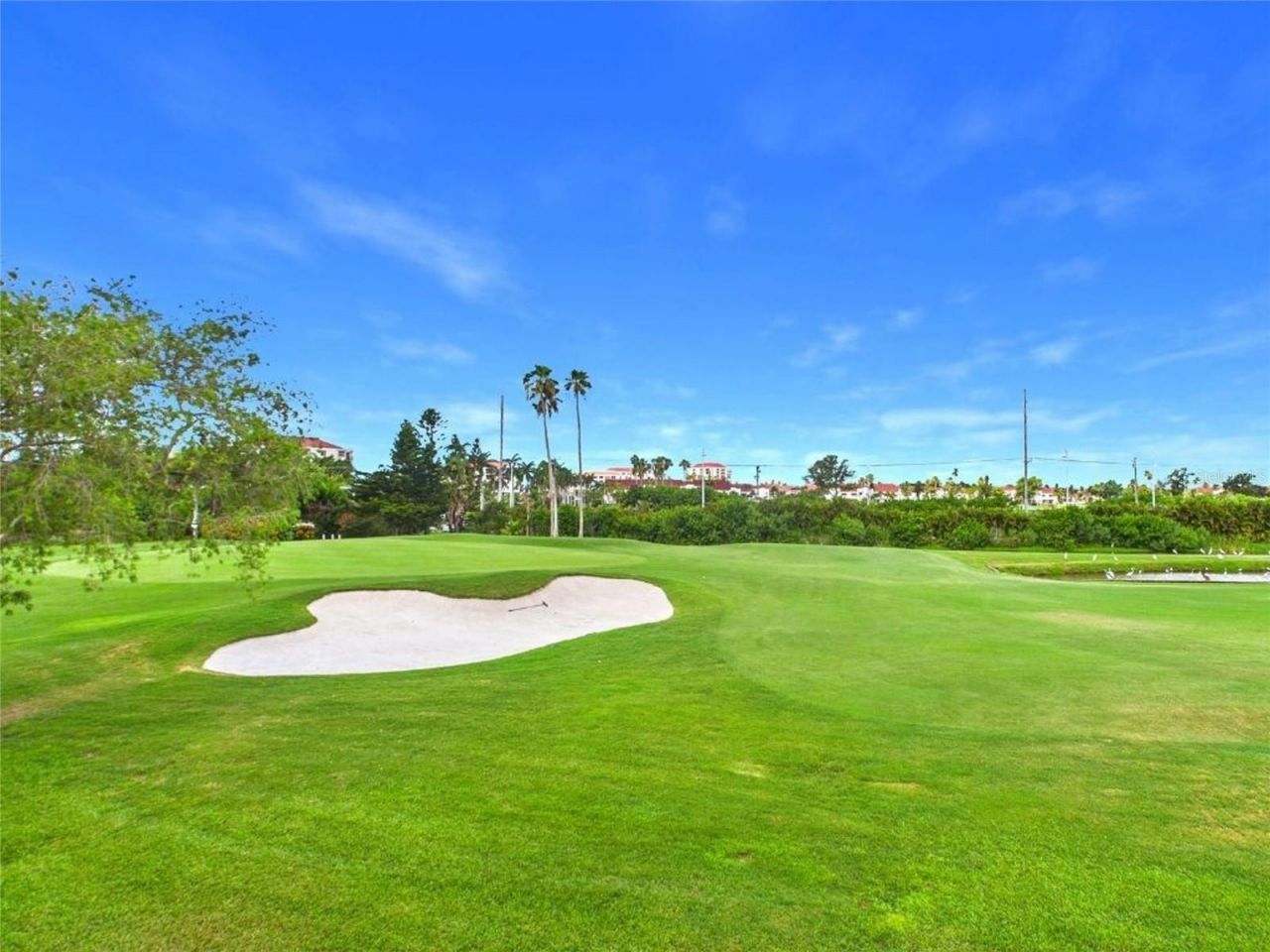 6335 Palma Del Mar Boulevard S, Unit 223, Saint Petersburg, FL 33715 Photo