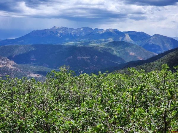 TBD Canyon Rim Loop, Placerville, CO 81430