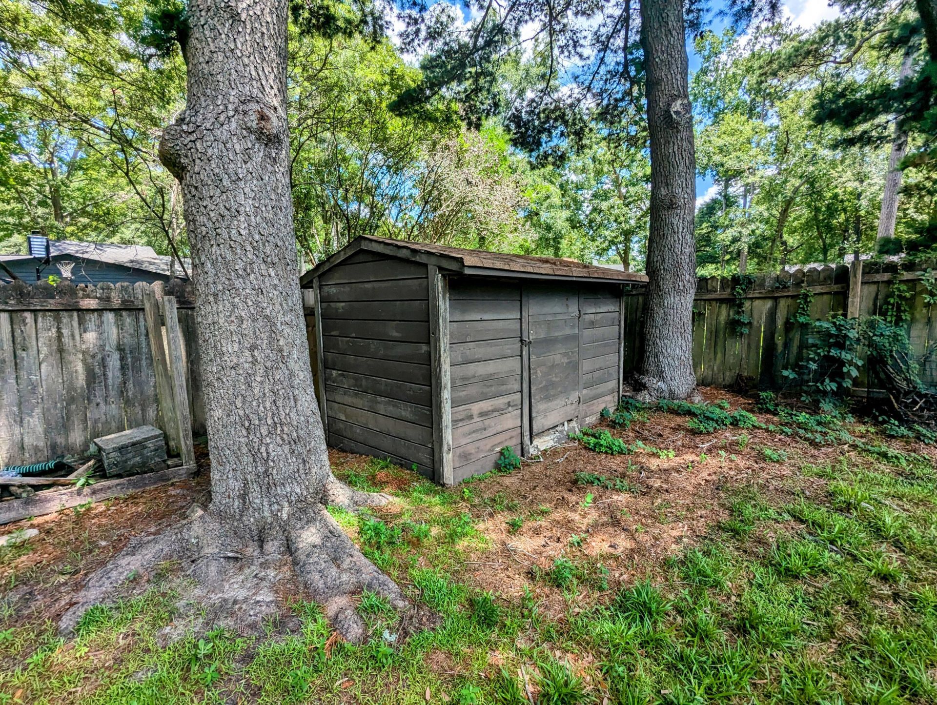 107 Wakefield Court Photo 16