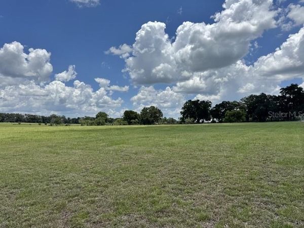 NW 131 STREET , REDDICK, FL 32686