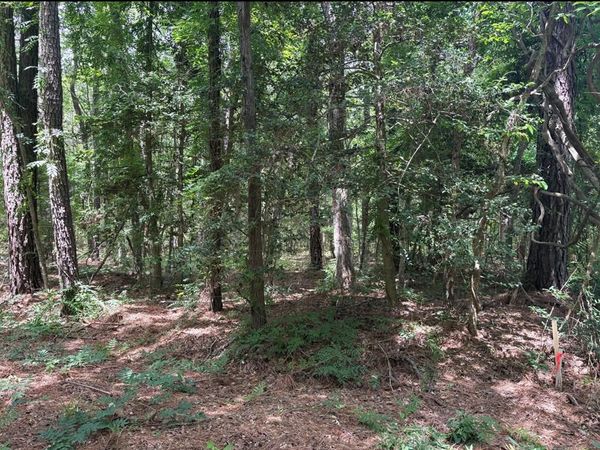 0 Pioneer Trail, HAGUE, VA 22469