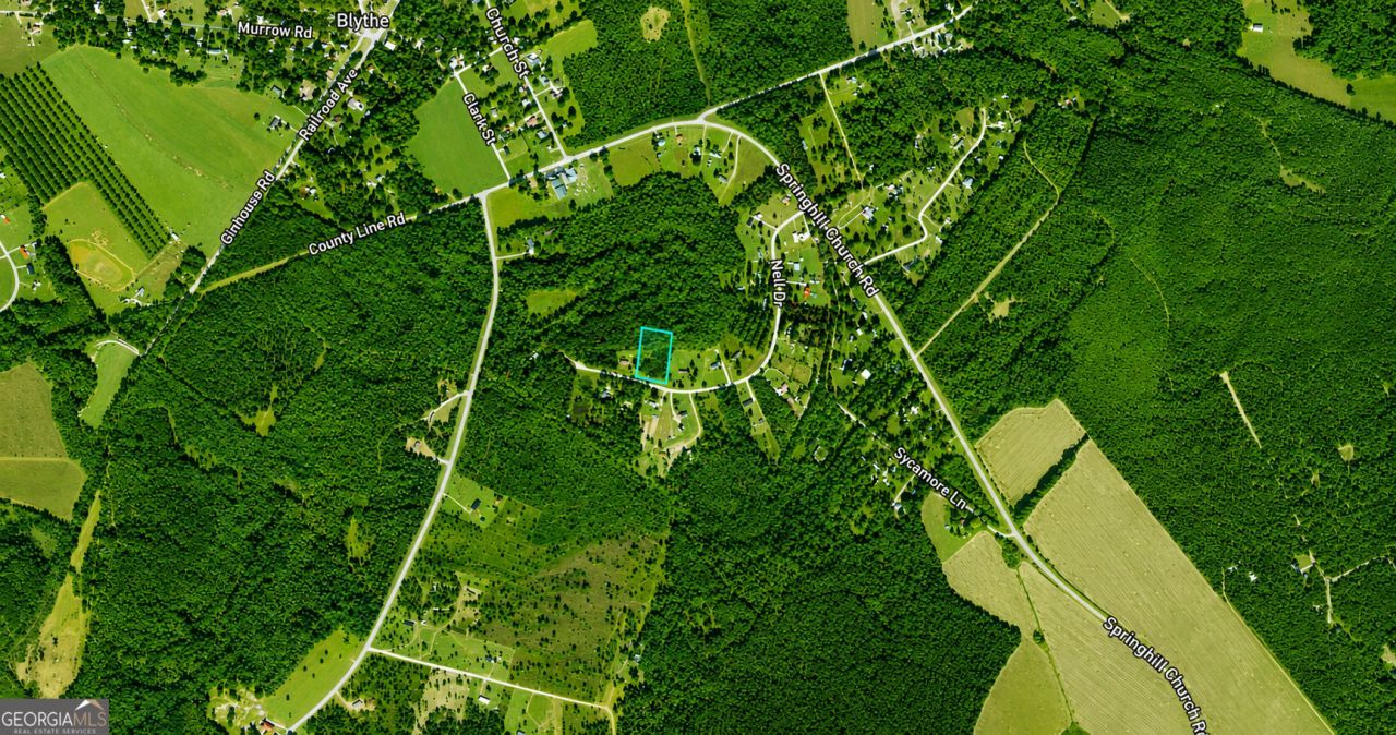 1.99 Acres Nell Drive, Blythe, GA 30805 Main Photo