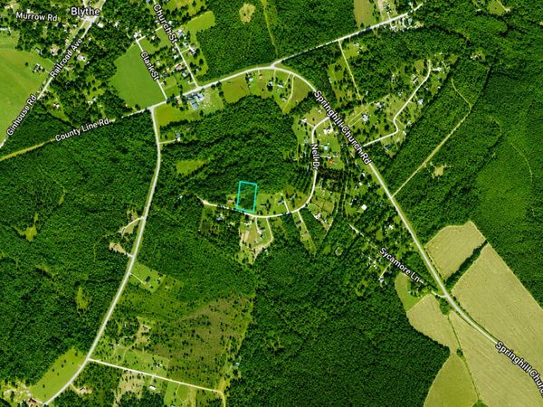1.99 ACRES Nell Drive, Blythe, GA 30805