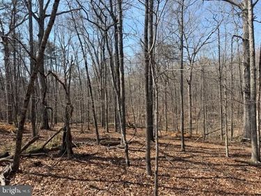 COUNTRYSIDE LANE - LOT 4, LIGNUM, VA 22726