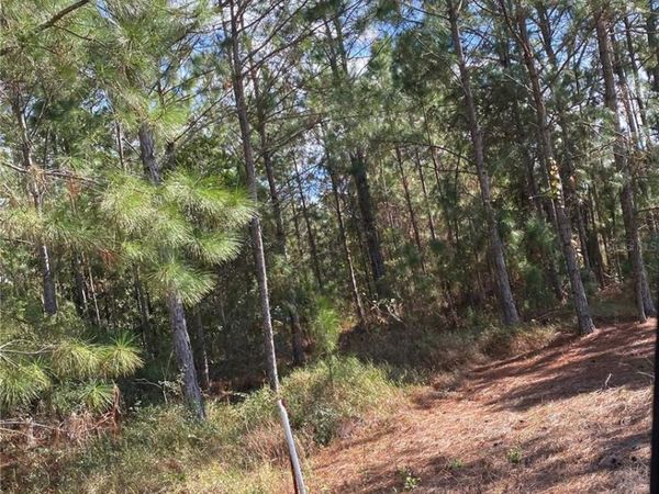POLK CITY, FL 33868