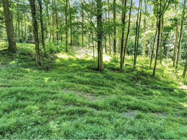 Lot 23A Walleye Way 23A, 24A, 43A, Scottsville, KY 42164