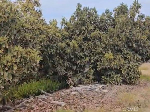 10438 Couser Way, Valley Center, CA 92003