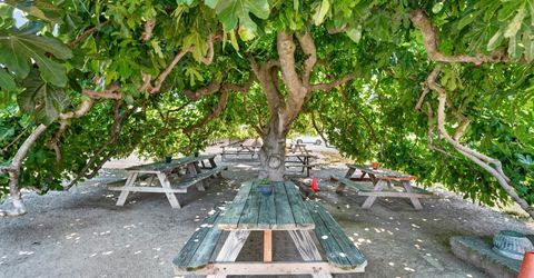 10112 E Woodbridge Rd, Acampo, CA 95220 Photo