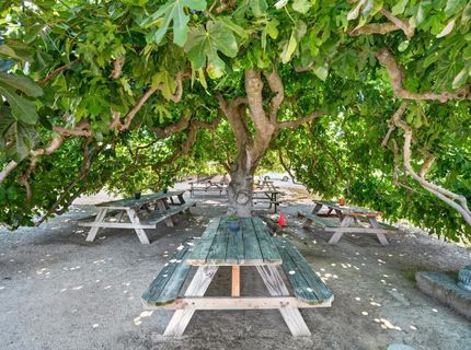 10112 E Woodbridge Rd, Acampo, CA 95220 Photo