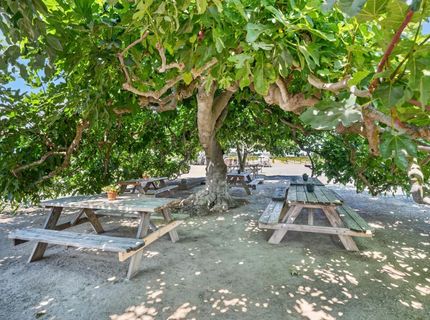 10112 E Woodbridge Rd, Acampo, CA 95220 Photo
