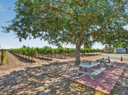 10112 E Woodbridge Rd, Acampo, CA 95220 Photo