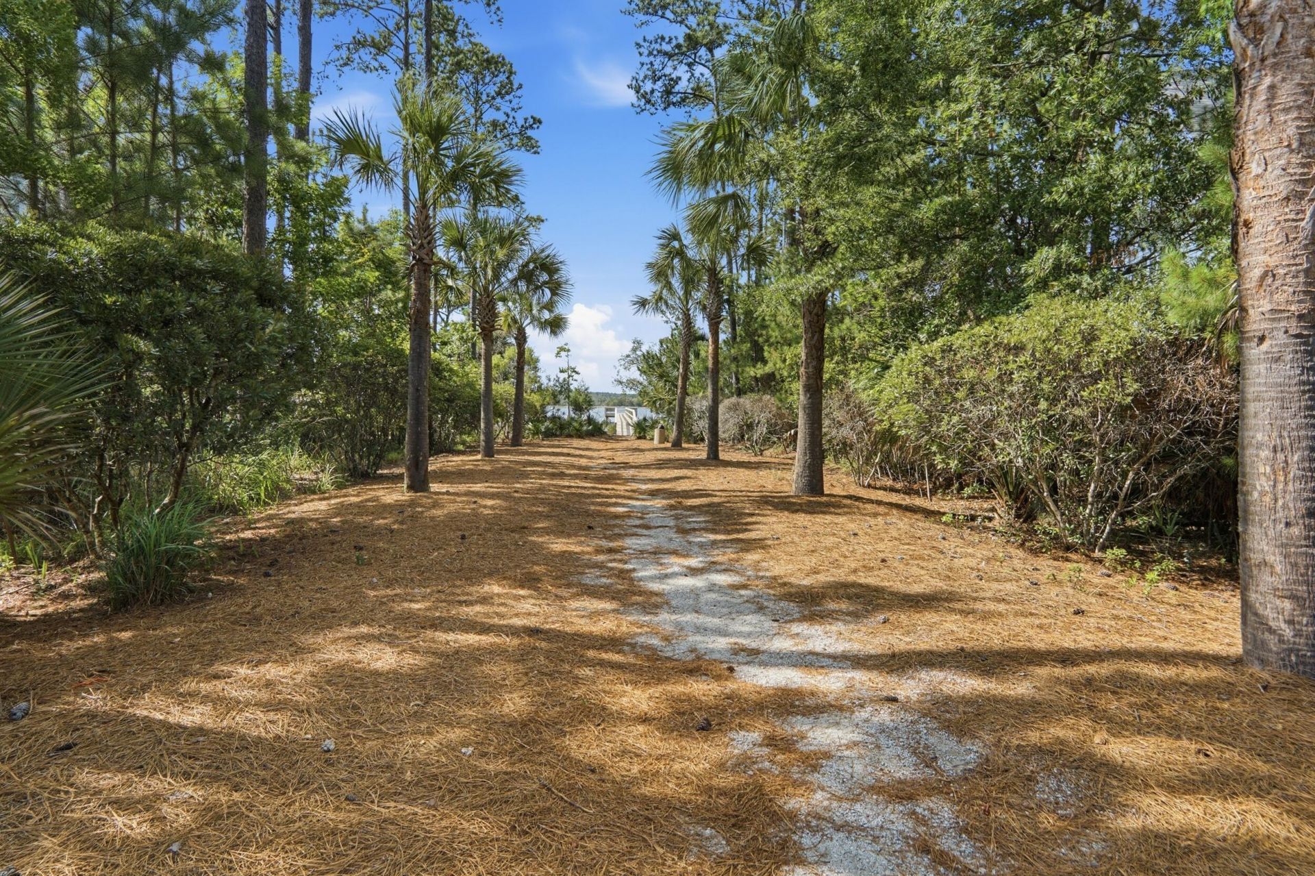 1277 Hermit Crab Way Photo 49