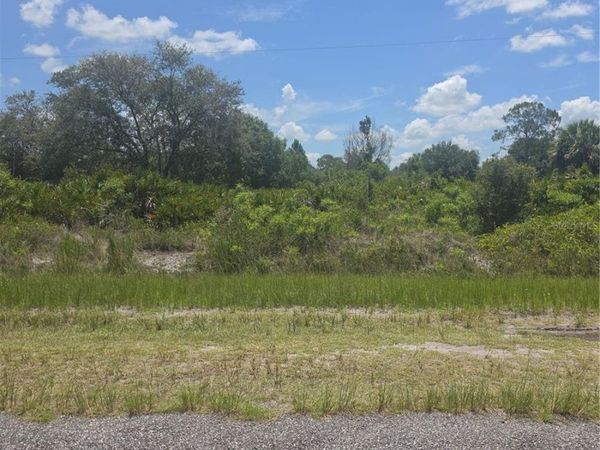 665 S LIVE OAK STREET , CLEWISTON, FL 33440