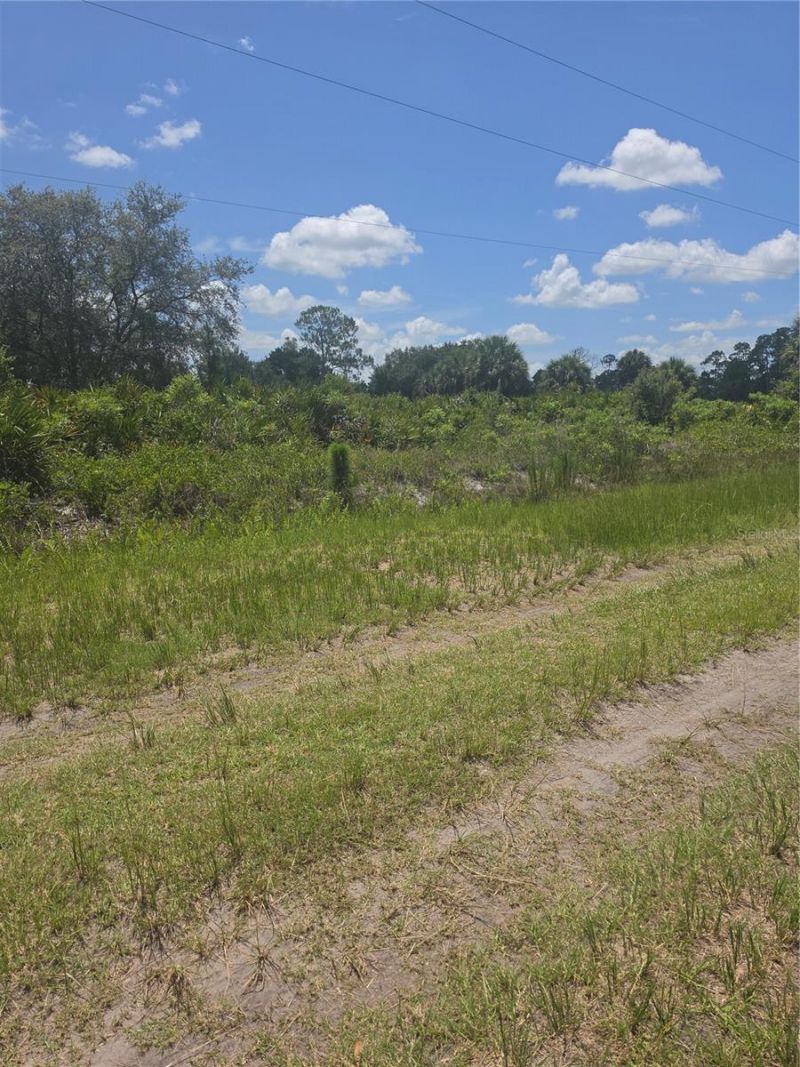665 S Live Oak Street , Clewiston, FL 33440 Photo