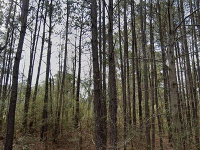 0 Orange Blossom Street, Andrews, SC 29510