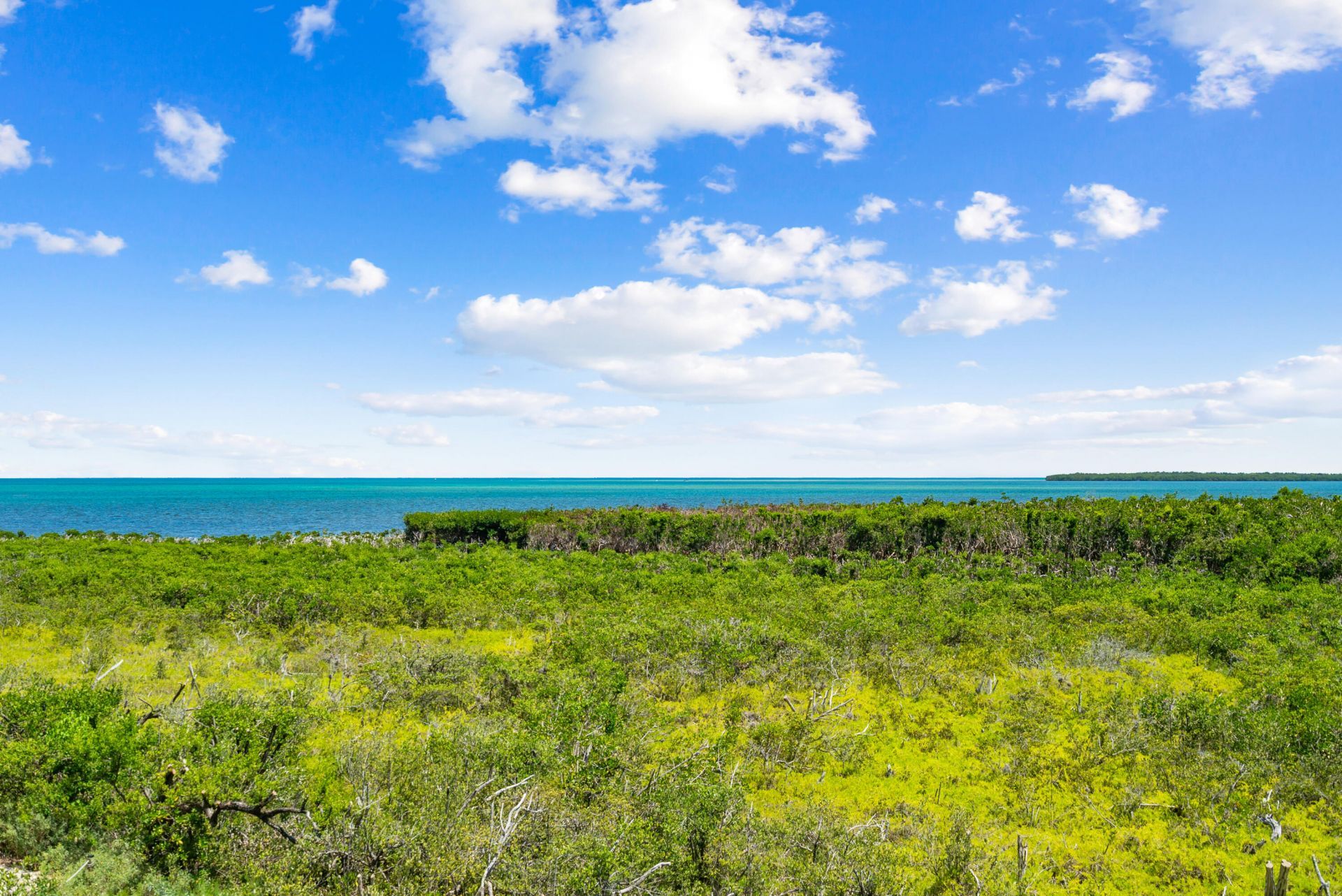 500 Burton Drive, Unit 2304, Tavernier, FL 33070 Photo