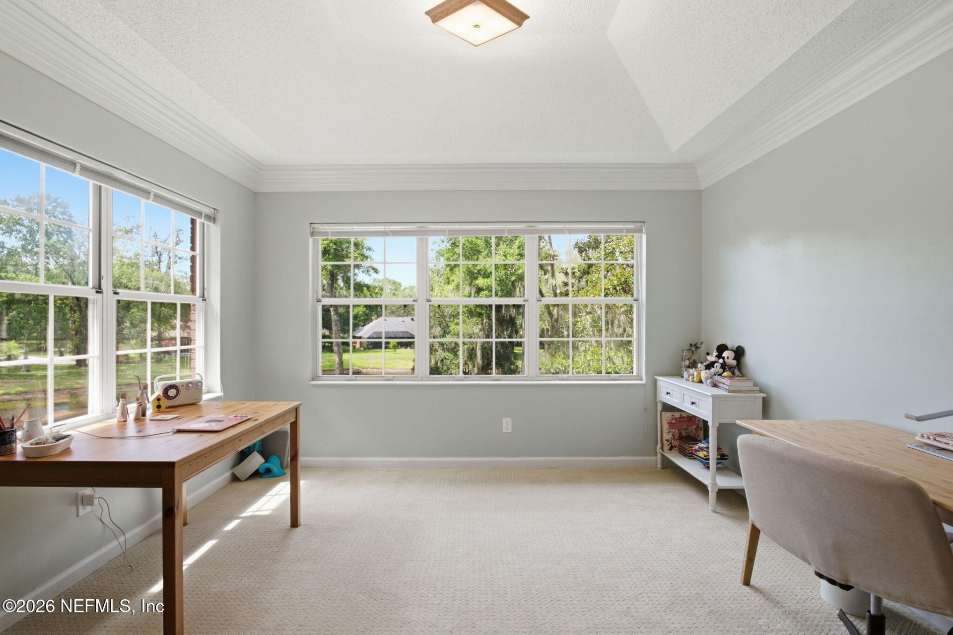 1907 Rose Mallow Lane, Fleming Island, FL 32003 Photo