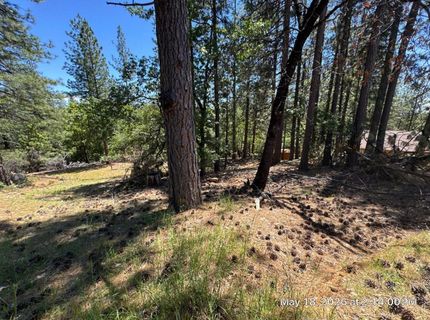 6396 Log Cabin Ln, Placerville, CA 95667 Photo
