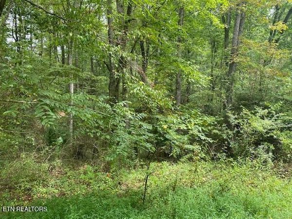 35 Ottoma Drive, Crossville, TN 38555
