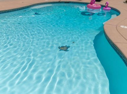 114 Havasu Pl #1, Unit 1, Copperopolis, CA 95228 Photo